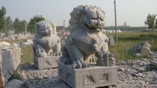Stone lion, marble lion-SZ003