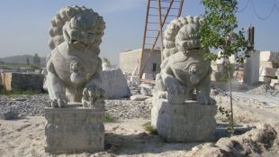 Stone lion, marble lion-SZ004