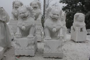 Stone lion, marble lion-SZ014