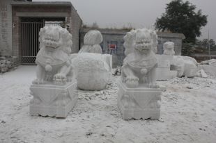 Stone lion, marble lion-SZ015