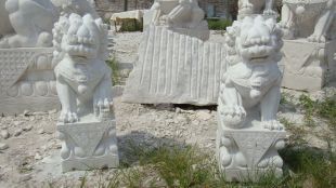 Stone lion, marble lion-SZ020