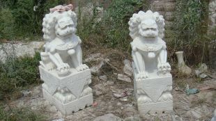 Stone lion, marble lion-SZ021