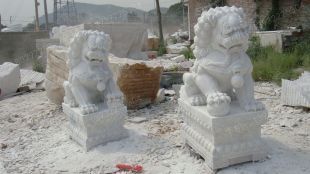 Stone lion, marble lion-SZ022