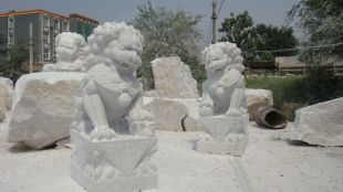 Stone lion, marble lion-SZ025