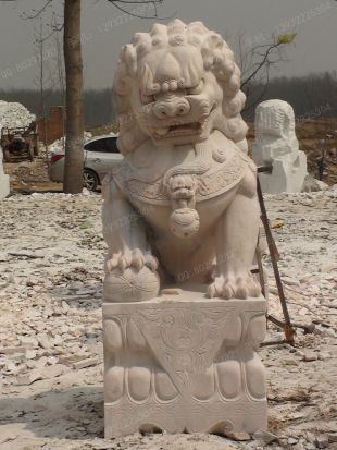 Stone lion, marble lion-SZ029