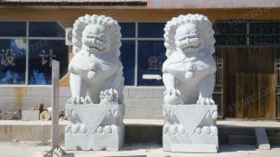 QuYang stone carving QuYang sculpture Animal carving chinese lion - SZ040