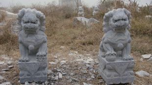 QuYang stone carving QuYang sculpture Animal carving chinese lion - SZ055