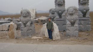 QuYang stone carving QuYang sculpture Animal carving chinese lion - SZ065