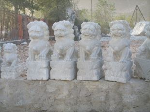 QuYang stone carving QuYang sculpture Animal carving chinese lion - SZ277