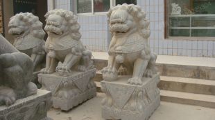 QuYang stone carving QuYang sculpture Animal carving chinese lion - SZ291