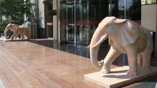 QuYang stone carving QuYang sculpture Animal carving Elephant - DX006