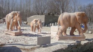 QuYang stone carving QuYang sculpture Animal carving Elephant - DX019