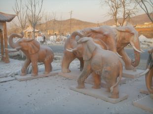 QuYang stone carving QuYang sculpture Animal carving Elephant - DX153