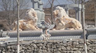 QuYang stone carving QuYang sculpture Animal carving stone lion sculpture European stone lion -OS016