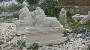 QuYang stone carving QuYang sculpture Animal carving stone lion sculpture European stone lion -OS059