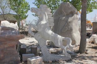 animal horse sculpture, stone animal sculpture, marble animal horse sculpture DW035