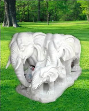 ʯĸ DW111