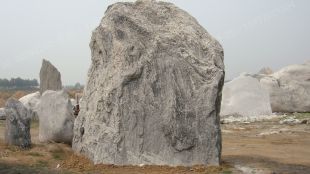 Landscape stone, natural stone,Taihu landscape stone XLS009