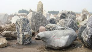 Landscape stone, natural stone,Taihu landscape stone XLS011