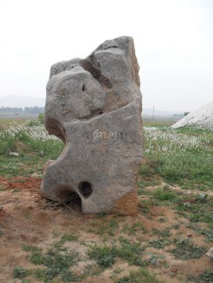 Landscape stone, natural stone,Taihu landscape stone --THS050