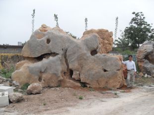 Landscape stone, natural stone,Taihu landscape stone --THS060