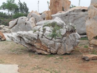 Landscape stone, natural stone,Taihu landscape stone --THS074