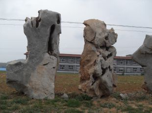 Landscape stone, natural stone,Taihu landscape stone --THS092
