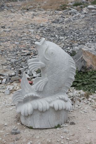 动物石雕鱼,石雕鱼雕塑,园林石雕鱼雕塑,鲤鱼雕塑,石雕喷泉鱼雕塑,曲阳石雕厂,曲阳雕塑公司 -- Y025