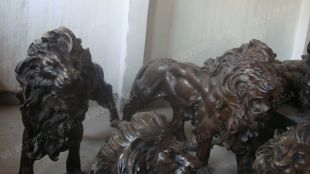 Copper lion,Bronze lion,Copper lion sculpture, copper sculpture factory -TD234
